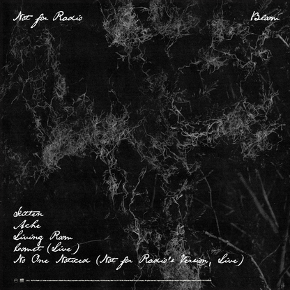 NOT FOR RADIO | Flower-shaped "Bloom" vinyl (limited edition)