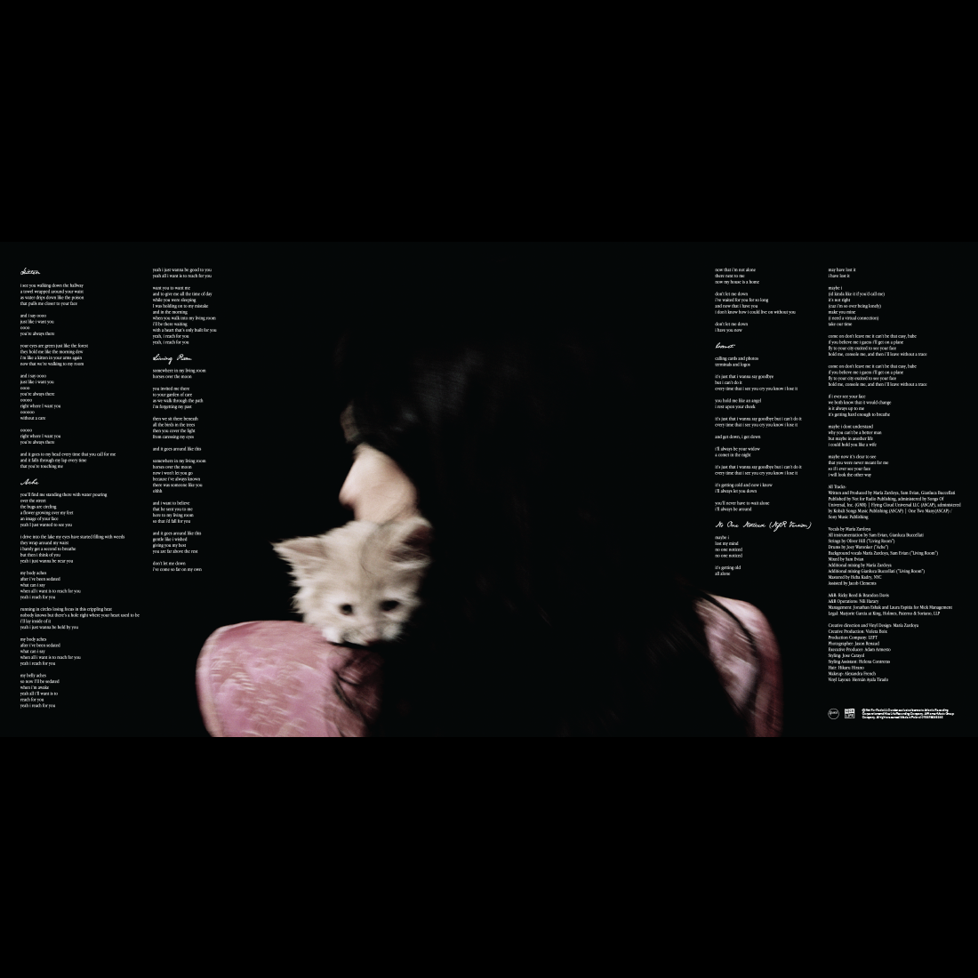 NOT FOR RADIO | Flower-shaped "Bloom" vinyl (limited edition)
