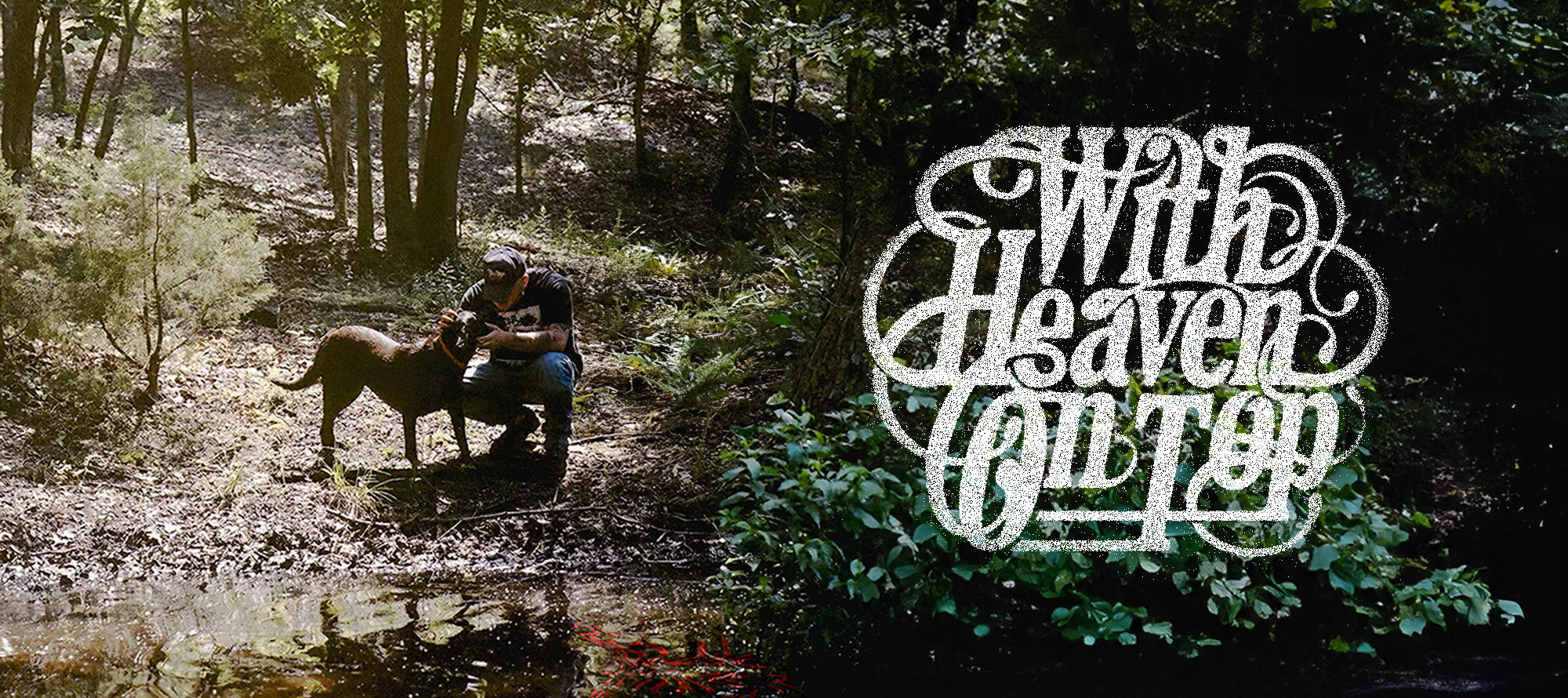 Banner desktop