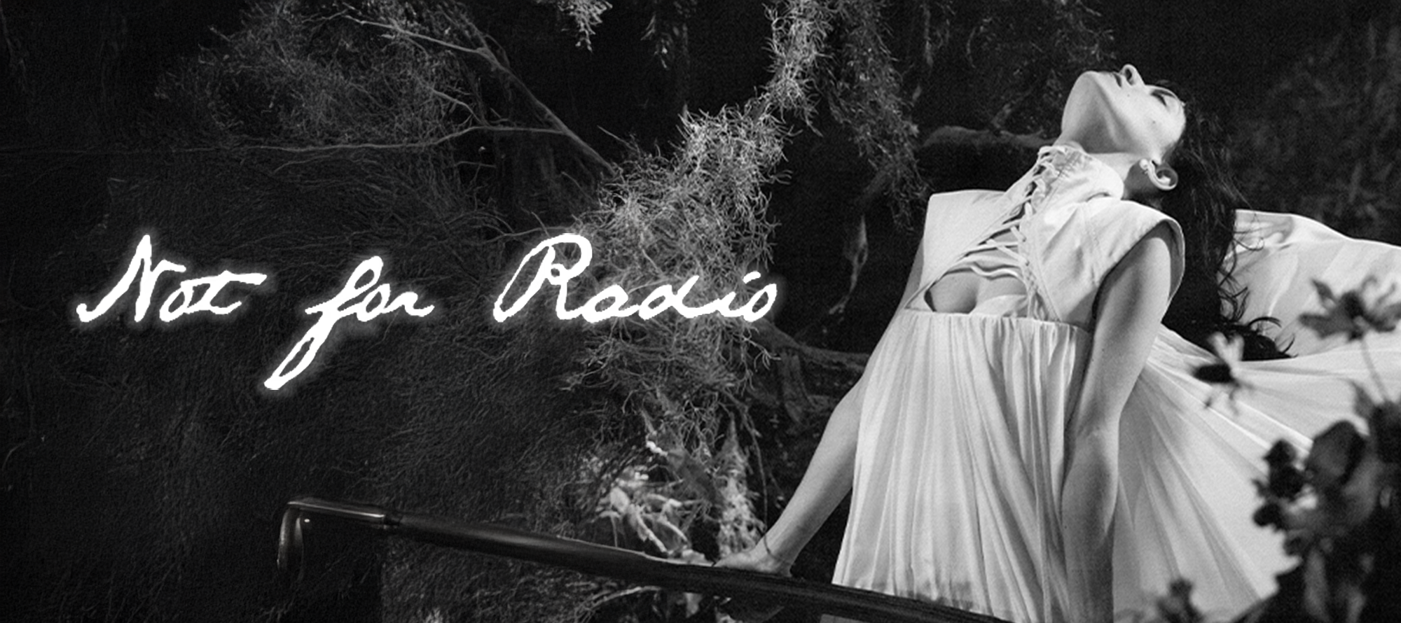 Banner desktop